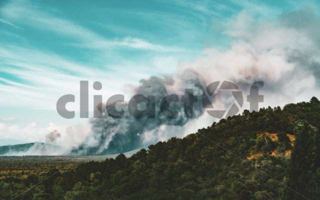 Incendie Vidauban 2024